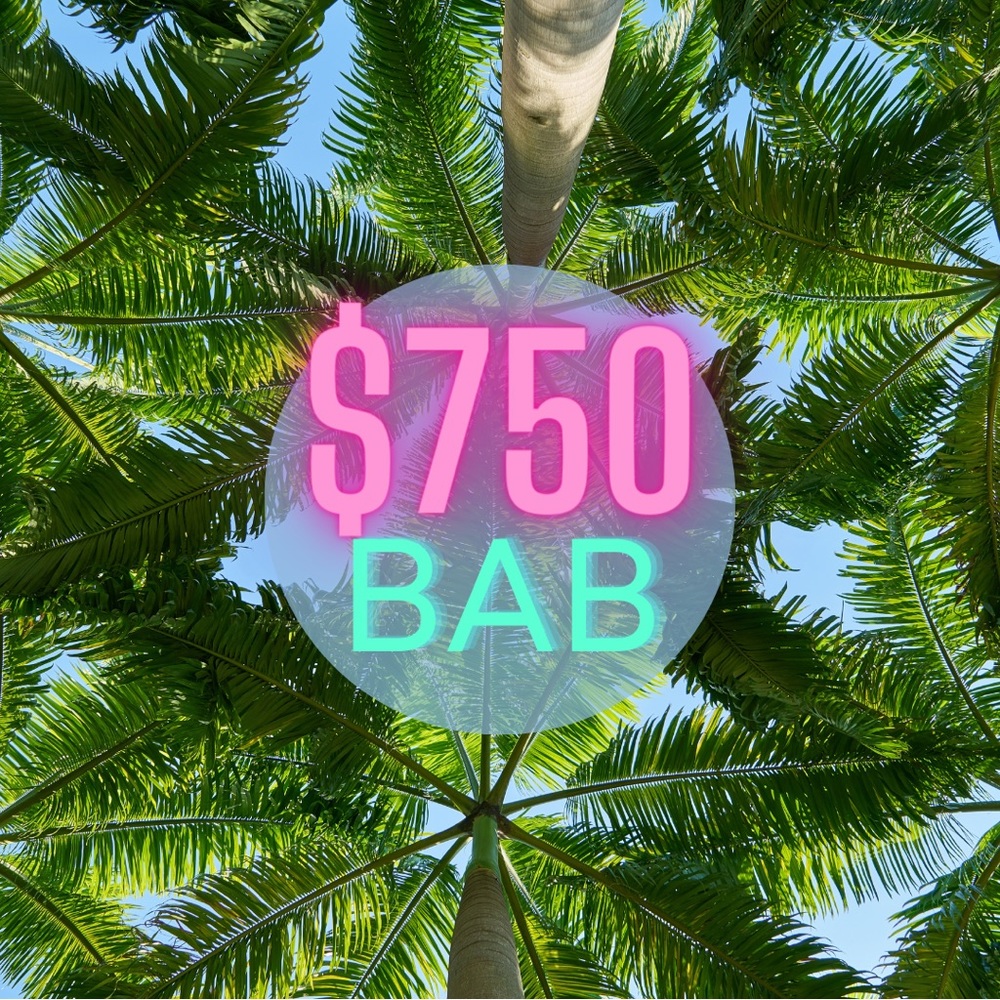 $750 Mystery Bag- Luxury and Designer items
